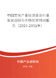 中國文化產(chǎn)業(yè)投資基金行業(yè)發(fā)展調研與市場前景預測報告（2025-2031年）