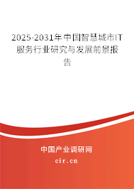 2025-2031年中國智慧城市IT服務行業(yè)研究與發(fā)展前景報告