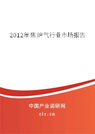 2012年焦爐氣行業(yè)市場報告