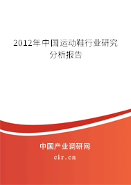 2012年中國運動鞋行業(yè)研究分析報告