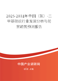 2025-2031年中國（氯）-二甲基硅烷行業(yè)發(fā)展分析與前景趨勢預測報告