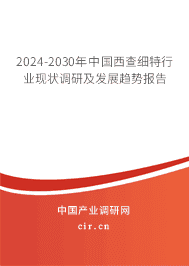 2023-2029年中國西查細(xì)特行業(yè)現(xiàn)狀調(diào)研及發(fā)展趨勢報告