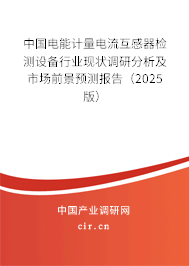 中國電能計(jì)量電流互感器檢測設(shè)備行業(yè)現(xiàn)狀調(diào)研分析及市場前景預(yù)測報(bào)告（2025版）