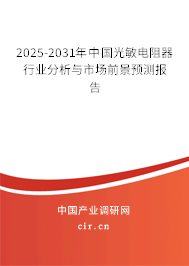 2025-2031年中國(guó)光敏電阻器行業(yè)分析與市場(chǎng)前景預(yù)測(cè)報(bào)告