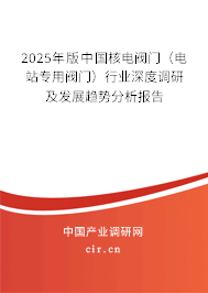 2025年版中國核電閥門（電站專用閥門）行業(yè)深度調(diào)研及發(fā)展趨勢分析報告