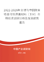 2022-2028年全球與中國聚合物基導(dǎo)熱界面材料（TIM）市場現(xiàn)狀調(diào)研分析及發(fā)展趨勢報告