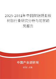 2025-2031年中國(guó)聚醚酰亞胺樹脂行業(yè)研究分析與前景趨勢(shì)報(bào)告