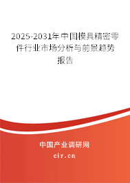 2025-2031年中國模具精密零件行業(yè)市場分析與前景趨勢報告