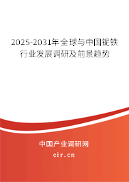 2025-2031年全球與中國鈮鐵行業(yè)發(fā)展調研及前景趨勢