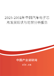 2025-2031年中國汽車電子芯片發(fā)展現(xiàn)狀與前景分析報告