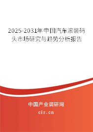 2025-2031年中國汽車滾裝碼頭市場研究與趨勢分析報告