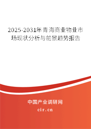 2025-2031年青海商業(yè)物業(yè)市場(chǎng)現(xiàn)狀分析與前景趨勢(shì)報(bào)告