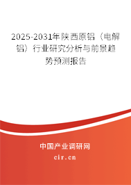 2025-2031年陜西原鋁（電解鋁）行業(yè)研究分析與前景趨勢(shì)預(yù)測(cè)報(bào)告