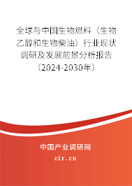 全球與中國生物燃料（生物乙醇和生物柴油）行業(yè)現(xiàn)狀調(diào)研及發(fā)展前景分析報告（2024-2030年）