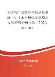 全球與中國天然氣輸送及儲(chǔ)存相關(guān)技術(shù)市場現(xiàn)狀調(diào)研與發(fā)展趨勢分析報(bào)告（2024-2030年）