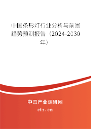 中國條形燈行業(yè)分析與前景趨勢(shì)預(yù)測(cè)報(bào)告（2024-2030年）