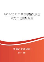 2025-2031年中國鐵路發(fā)展現狀與市場前景報告