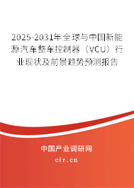 2025-2031年全球與中國新能源汽車整車控制器（VCU）行業(yè)現(xiàn)狀及前景趨勢預(yù)測報(bào)告