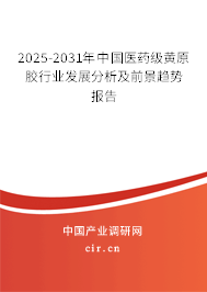 2025-2031年中國醫(yī)藥級黃原膠行業(yè)發(fā)展分析及前景趨勢報告