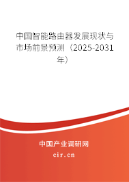 中國(guó)智能路由器發(fā)展現(xiàn)狀與市場(chǎng)前景預(yù)測(cè)（2025-2031年）