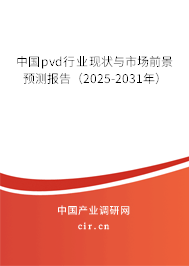 中國(guó)pvd行業(yè)現(xiàn)狀與市場(chǎng)前景預(yù)測(cè)報(bào)告（2025-2031年）