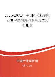 2025-2031年中國冷拉扭鋼筋行業(yè)深度研究及發(fā)展走勢分析報告