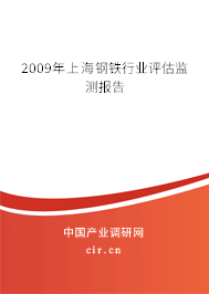 2009年上海鋼鐵行業(yè)評(píng)估監(jiān)測(cè)報(bào)告