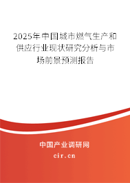 2025年中國城市燃氣生產(chǎn)和供應(yīng)行業(yè)現(xiàn)狀研究分析與市場前景預(yù)測報告