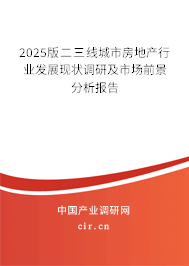 2025版二三線城市房地產行業(yè)發(fā)展現(xiàn)狀調研及市場前景分析報告