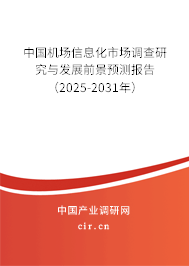 中國機場信息化市場調(diào)查研究與發(fā)展前景預(yù)測報告（2025-2031年）