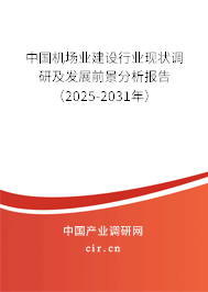 中國機(jī)場業(yè)建設(shè)行業(yè)現(xiàn)狀調(diào)研及發(fā)展前景分析報告（2025-2031年）