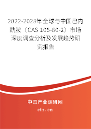 2022-2028年全球與中國己內(nèi)酰胺（CAS 105-60-2）市場深度調(diào)查分析及發(fā)展趨勢研究報告