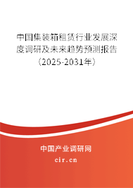 中國集裝箱租賃行業(yè)發(fā)展深度調(diào)研及未來趨勢預測報告（2024-2030年）