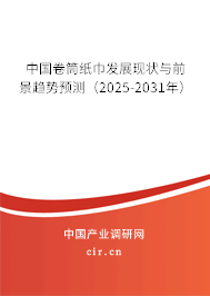 中國卷筒紙巾發(fā)展現(xiàn)狀與前景趨勢預(yù)測（2025-2031年）