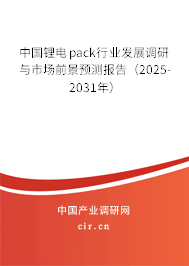 中國鋰電pack行業(yè)發(fā)展調(diào)研與市場前景預(yù)測報(bào)告（2025-2031年）