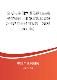 全球與中國六硼化鑭掃描電子顯微鏡行業(yè)發(fā)展現(xiàn)狀調(diào)研及市場前景預(yù)測報(bào)告（2025-2031年）