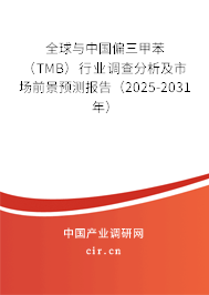 全球與中國偏三甲苯（TMB）行業(yè)調(diào)查分析及市場前景預(yù)測報告（2025-2031年）