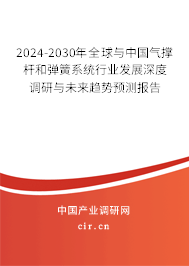 2024-2030年全球與中國氣撐桿和彈簧系統(tǒng)行業(yè)發(fā)展深度調(diào)研與未來趨勢預(yù)測報告