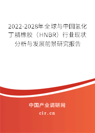 2022-2028年全球與中國(guó)氫化丁腈橡膠（HNBR）行業(yè)現(xiàn)狀分析與發(fā)展前景研究報(bào)告