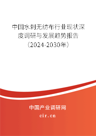 中國水刺無紡布行業(yè)現(xiàn)狀深度調研與發(fā)展趨勢報告（2024-2030年）
