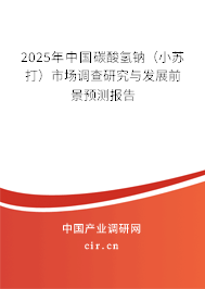 2025年中國碳酸氫鈉（小蘇打）市場調(diào)查研究與發(fā)展前景預測報告