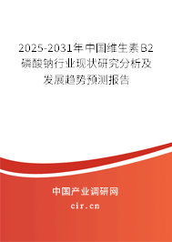 2025-2031年中國維生素B2磷酸鈉行業(yè)現(xiàn)狀研究分析及發(fā)展趨勢預(yù)測報(bào)告