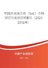 中國系統(tǒng)級(jí)芯片（SoC）市場研究與發(fā)展前景報(bào)告（2025-2031年）