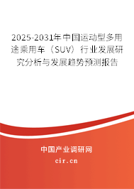 2025-2031年中國運動型多用途乘用車（SUV）行業(yè)發(fā)展研究分析與發(fā)展趨勢預(yù)測報告