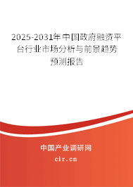 2025-2031年中國政府融資平臺行業(yè)市場分析與前景趨勢預(yù)測報告
