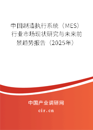 中國(guó)制造執(zhí)行系統(tǒng)（MES）行業(yè)市場(chǎng)現(xiàn)狀研究與未來(lái)前景趨勢(shì)報(bào)告（2025年）