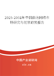 2025-2031年中國自治網(wǎng)絡市場研究與前景趨勢報告