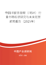 中國(guó)IT服務(wù)管理（ITSM）行業(yè)市場(chǎng)現(xiàn)狀研究與未來(lái)前景趨勢(shì)報(bào)告（2025年）