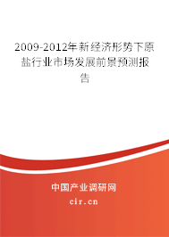 2009-2012年新經(jīng)濟(jì)形勢(shì)下原鹽行業(yè)市場(chǎng)發(fā)展前景預(yù)測(cè)報(bào)告