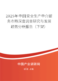 2025年中國(guó)安全生產(chǎn)中介服務(wù)市場(chǎng)深度調(diào)查研究與發(fā)展趨勢(shì)分析報(bào)告（下架）